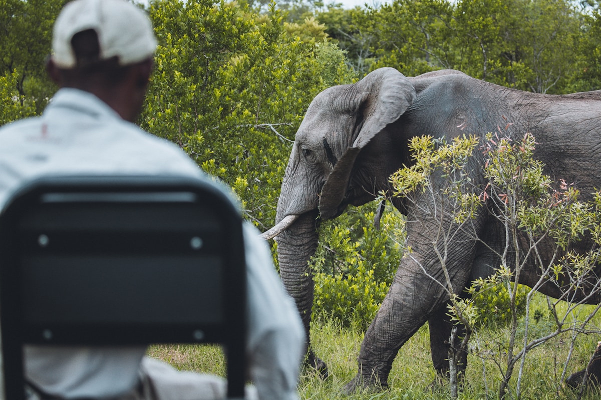 Weekly Roundup Highlights Major Wins for Wildlife Conservation and Accessibility