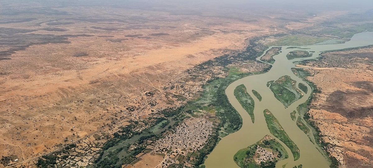 Underground Forests Help Farmers Revitalize Millions of Hectares in Niger