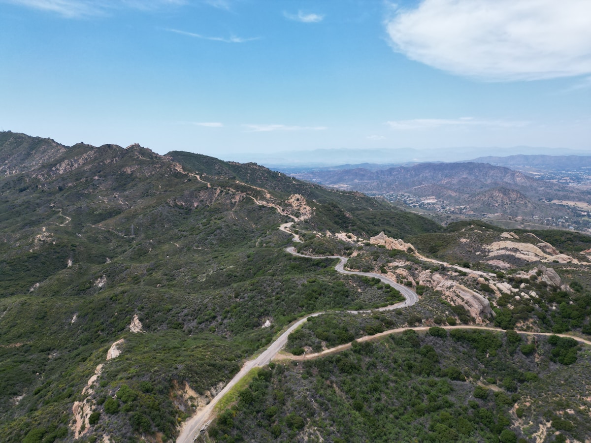 Over 3,000 Endangered Frogs and Tadpoles Released into Southern California Mountains