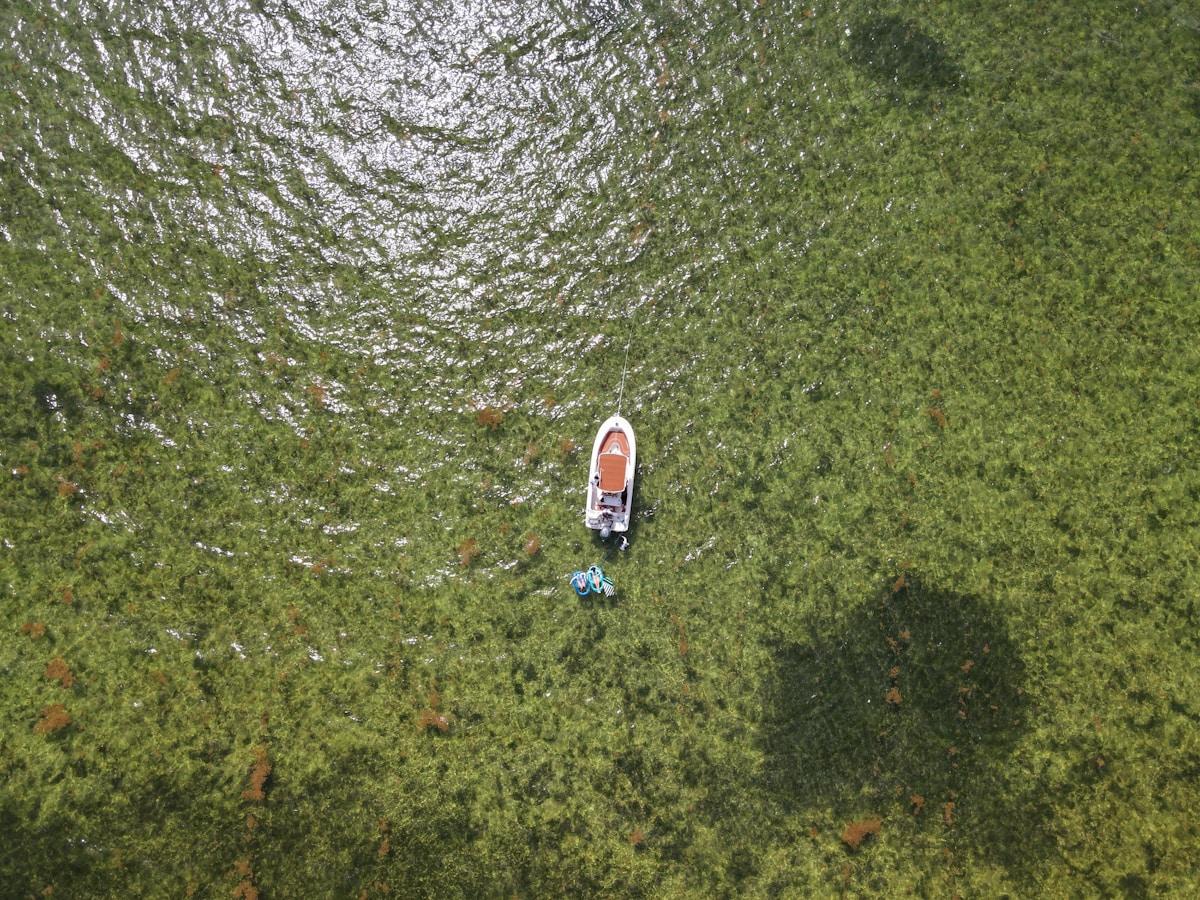 How Florida's Shellfish Farmers Are Helping Clear Algal Blooms