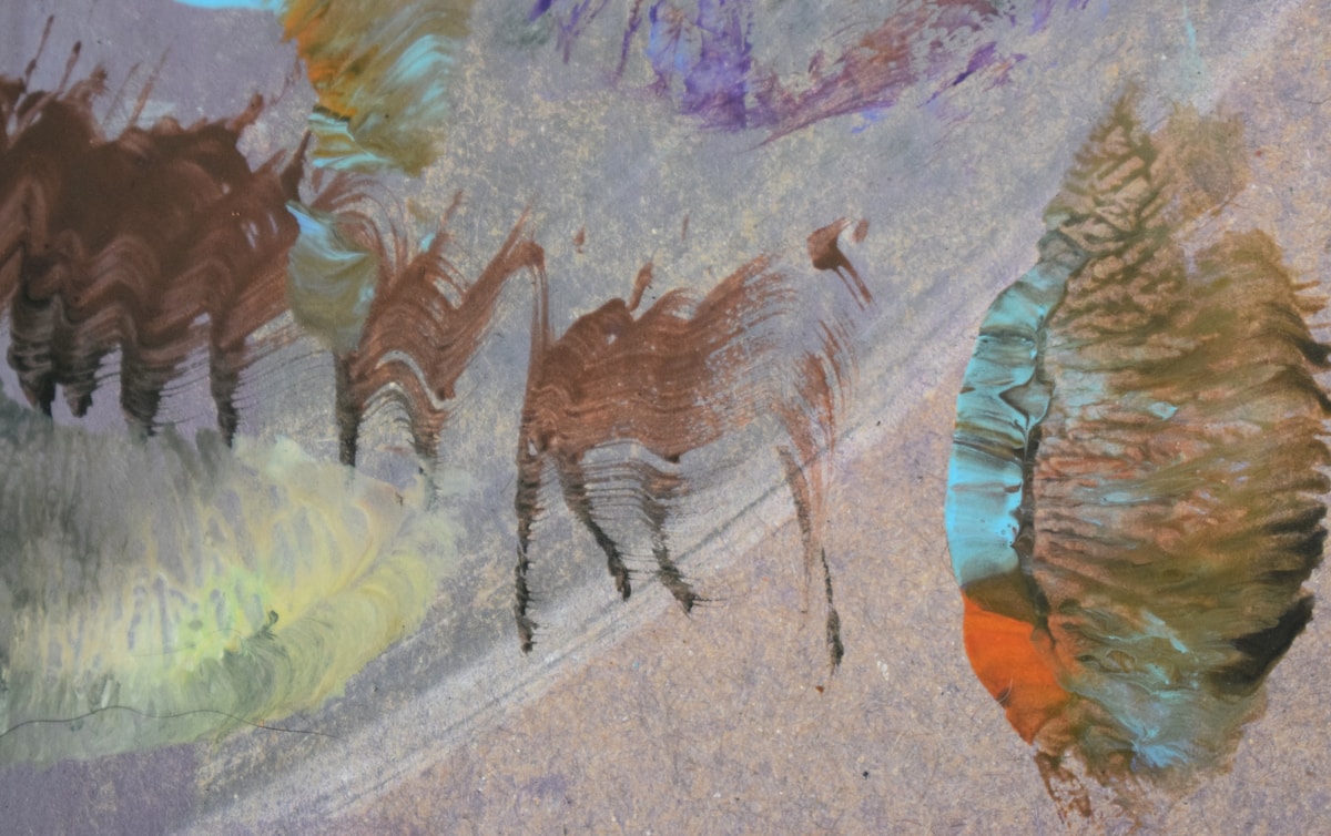 Mapped Genetic Pathways Reveal How Animal Evolution Follows Predictable 'Highways'
