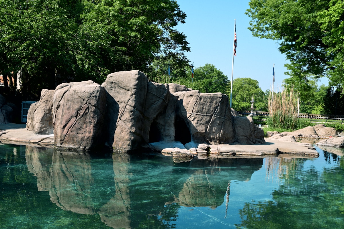 Bronx Zoo Successfully Rehabilitates 800 Endangered Turtles Rescued from Illegal Trade