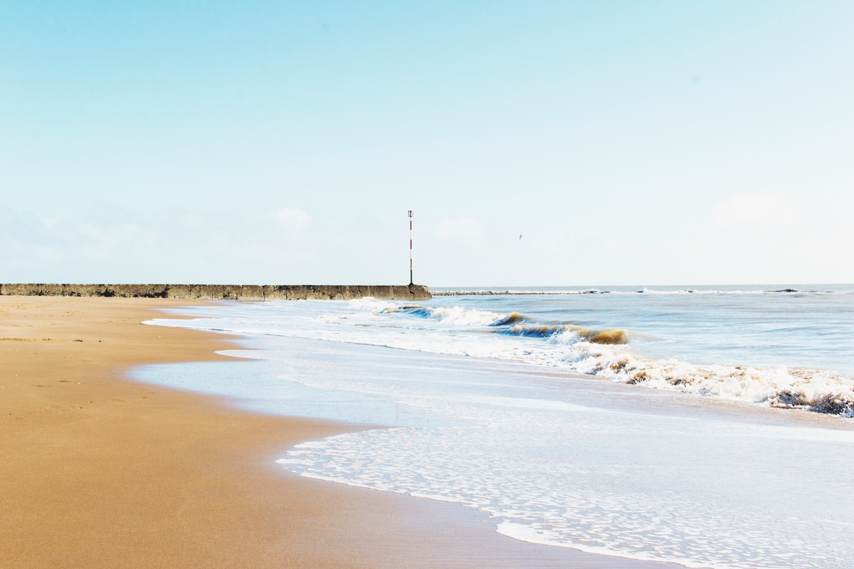 A Brighter Week: Progress for Coastal Ecosystems, Inclusive Spaces, and Local Communities