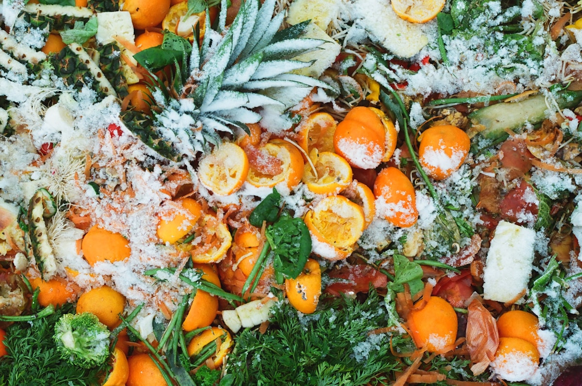 Innovative Upcycling: Scientists Convert Plastic Waste into Protein-Rich Food to Help Meet Future Global Demand