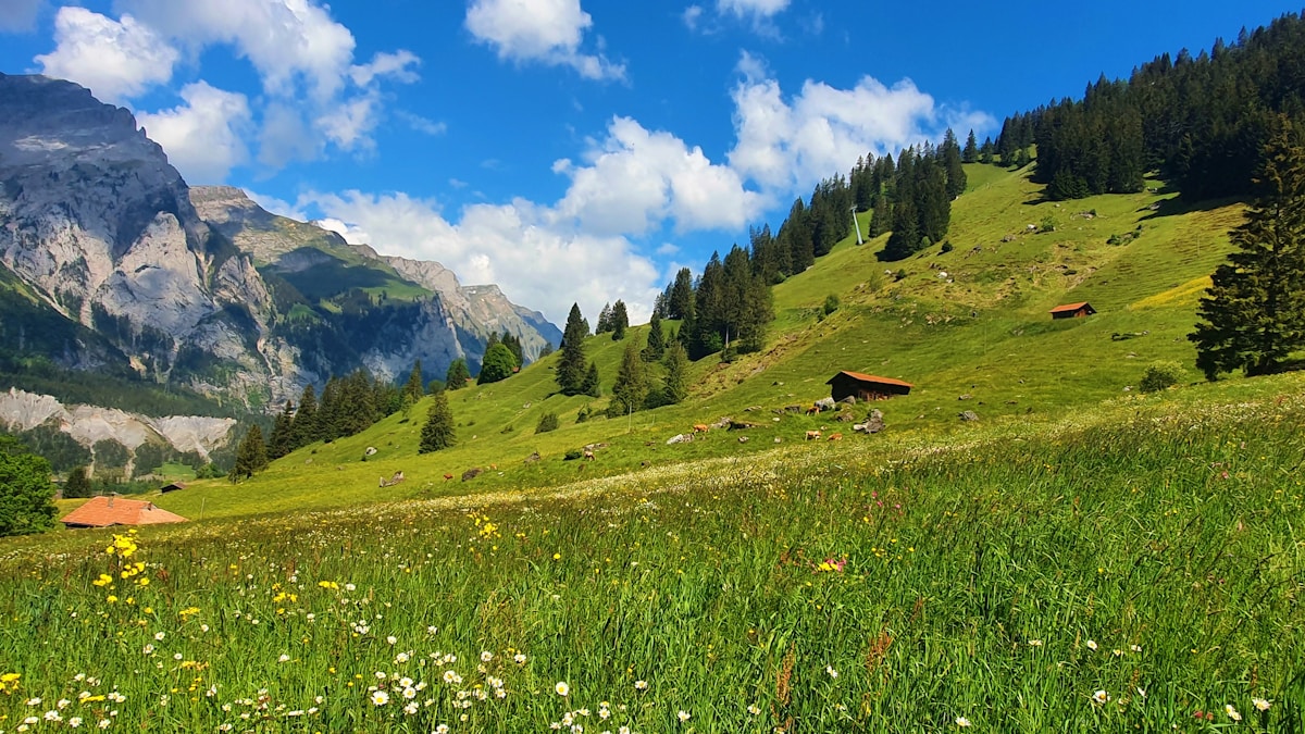 Swiss Citizens Help Map Soil Health by Burying 1,000 Pairs of Cotton Underwear