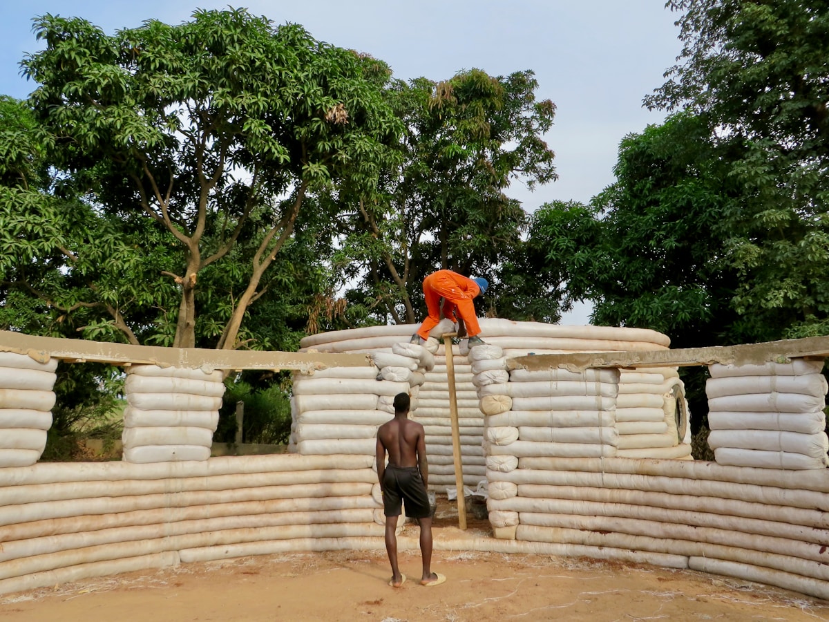 West African Chimpanzees Build Long-Lasting Stone Landmarks in a Fascinating Display of Animal Culture