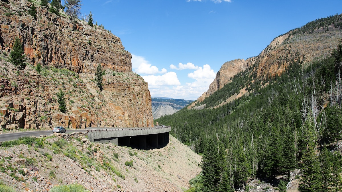 New Idaho Wildlife Underpass Will Give Migrating Deer a Safe Path Under Busy Highway
