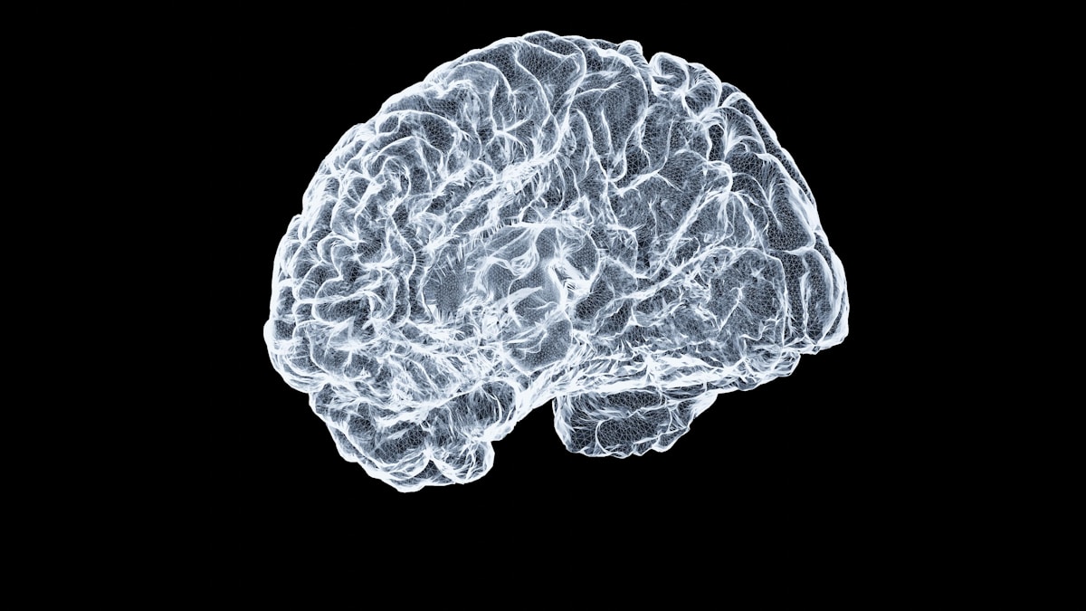 Rethinking Brain Evolution: New Research Reveals All Animals Share Complex Mental Wiring