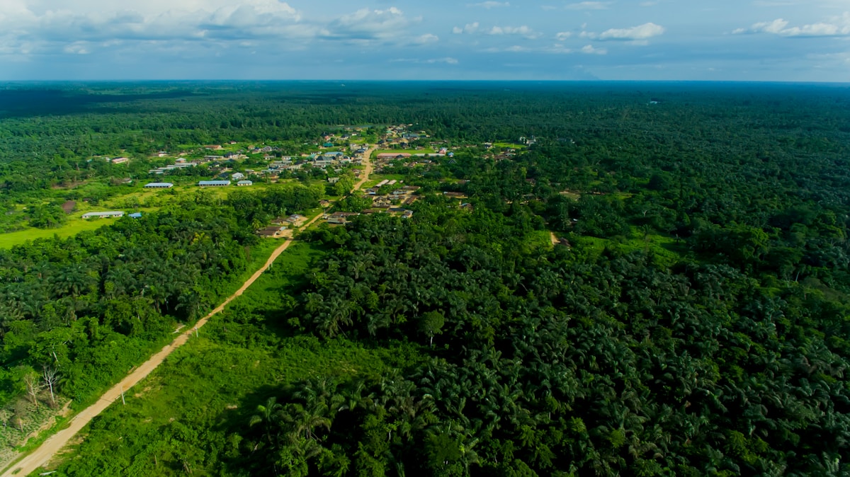 Guardian of the Canopy: How Former Hunters are Saving Nigeria’s Threatened Rainforests
