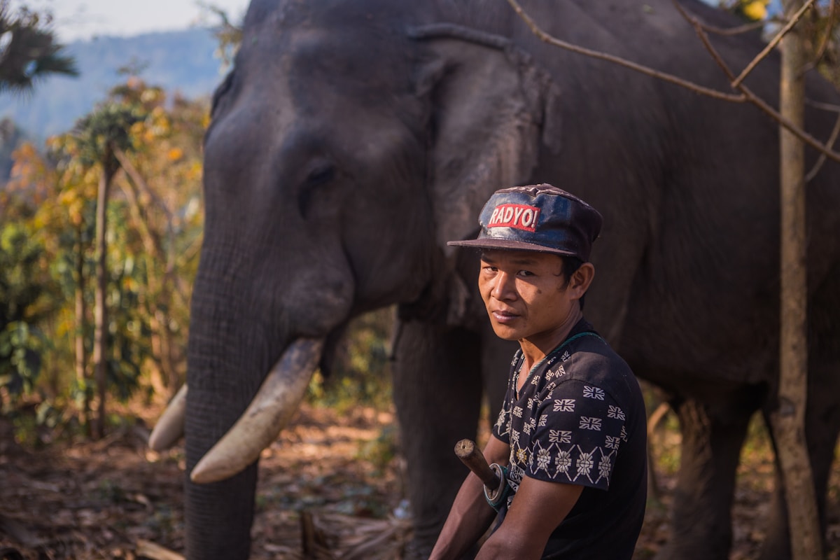 High School Student Develops AI-Powered Device to Protect Elephants from Poaching