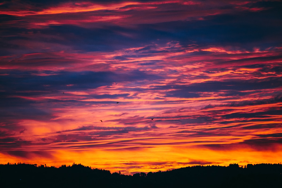 September Skies Offer a Spectacular Autumn Show with Venus, Saturn, and the Harvest Moon