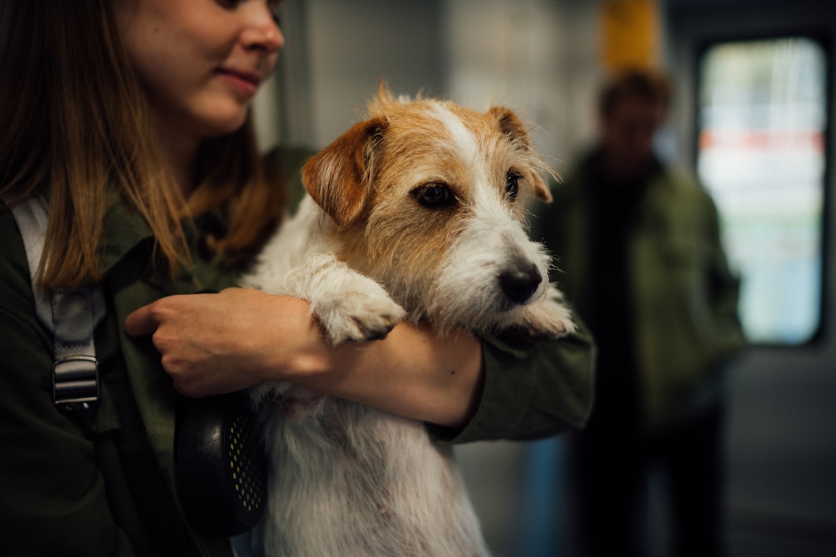 Adventurous Terrier Reunited with Owner After Two Days Lost in Nottinghamshire Warren