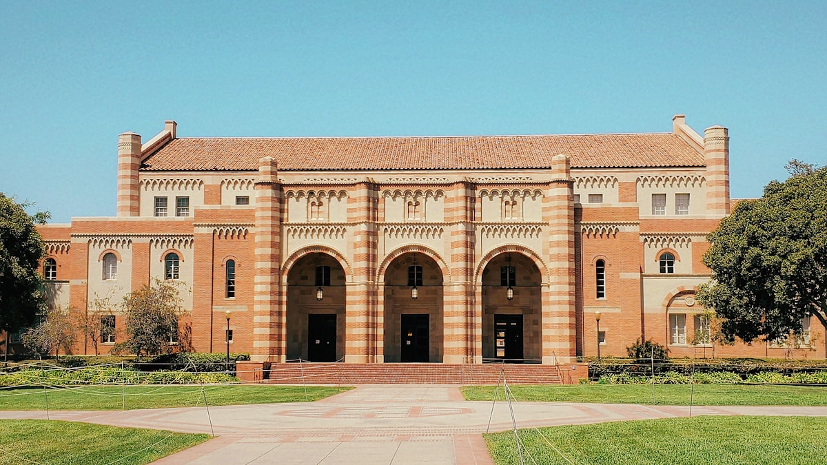 UCLA researchers discover key biological signals that guide early human brain development