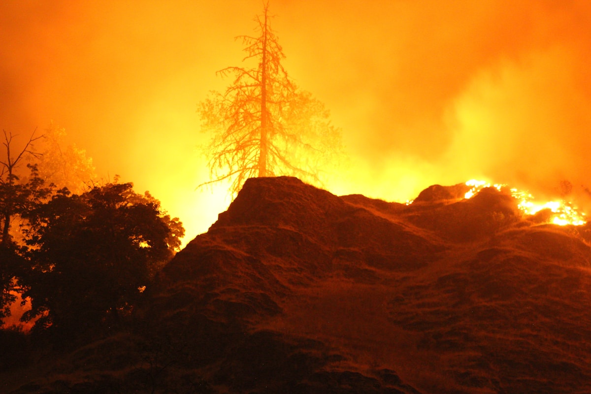 How Nature's Engineers Are Restoring Oregon's Wildfire-Damaged Watersheds
