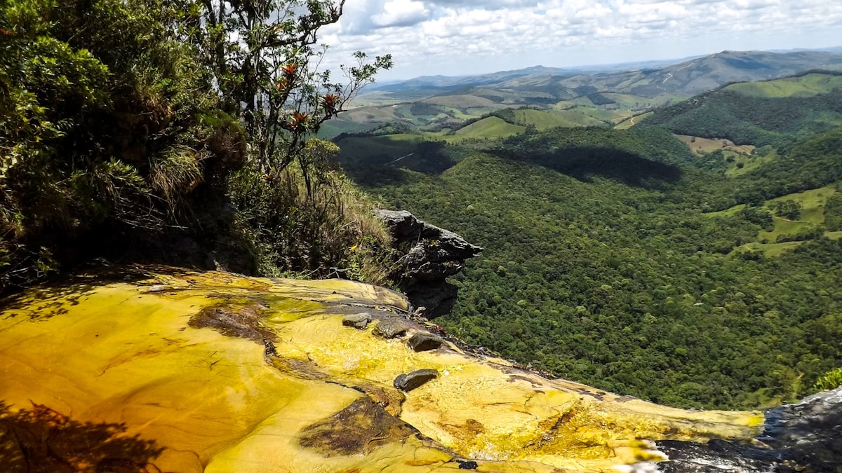 Fossil discovery in Brazil reveals a magnificent 120-million-year-old giant and ancient global pathways