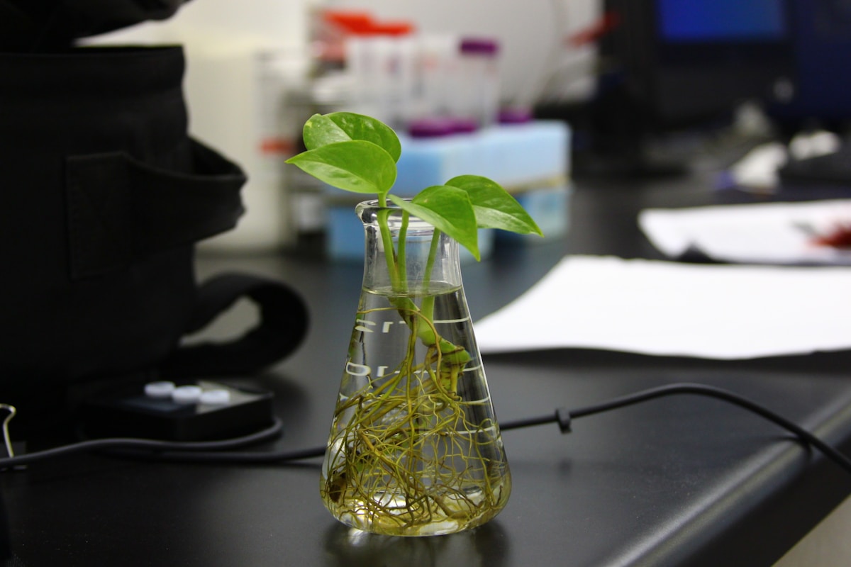 MIT scientists develop living bacterial transistors to monitor and protect plants