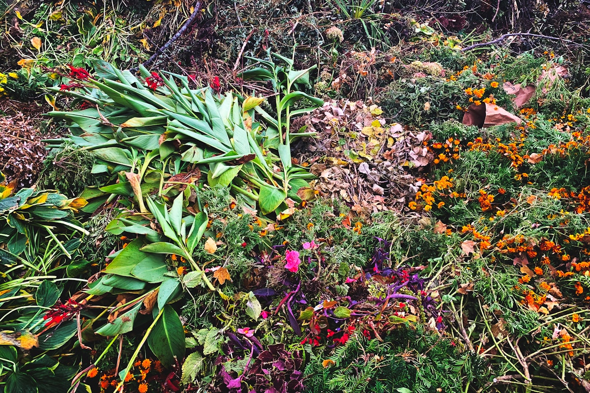 Turning Builders' Waste Into Blooms: The Rise of the Low-Maintenance Rubble Garden