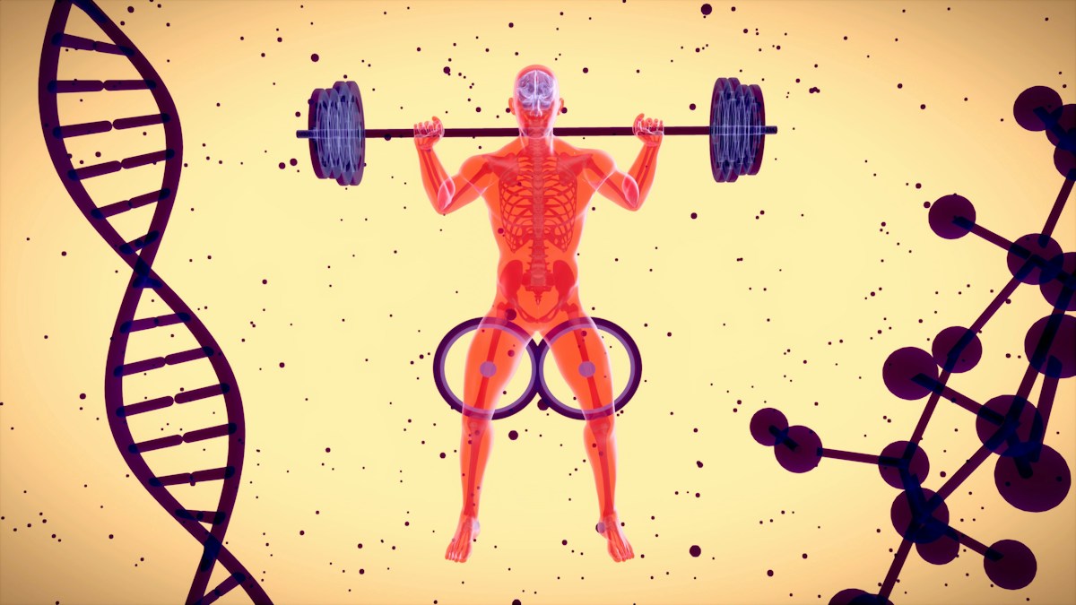 Promising New Compound Strengthens Bones and Muscles in Early Trials