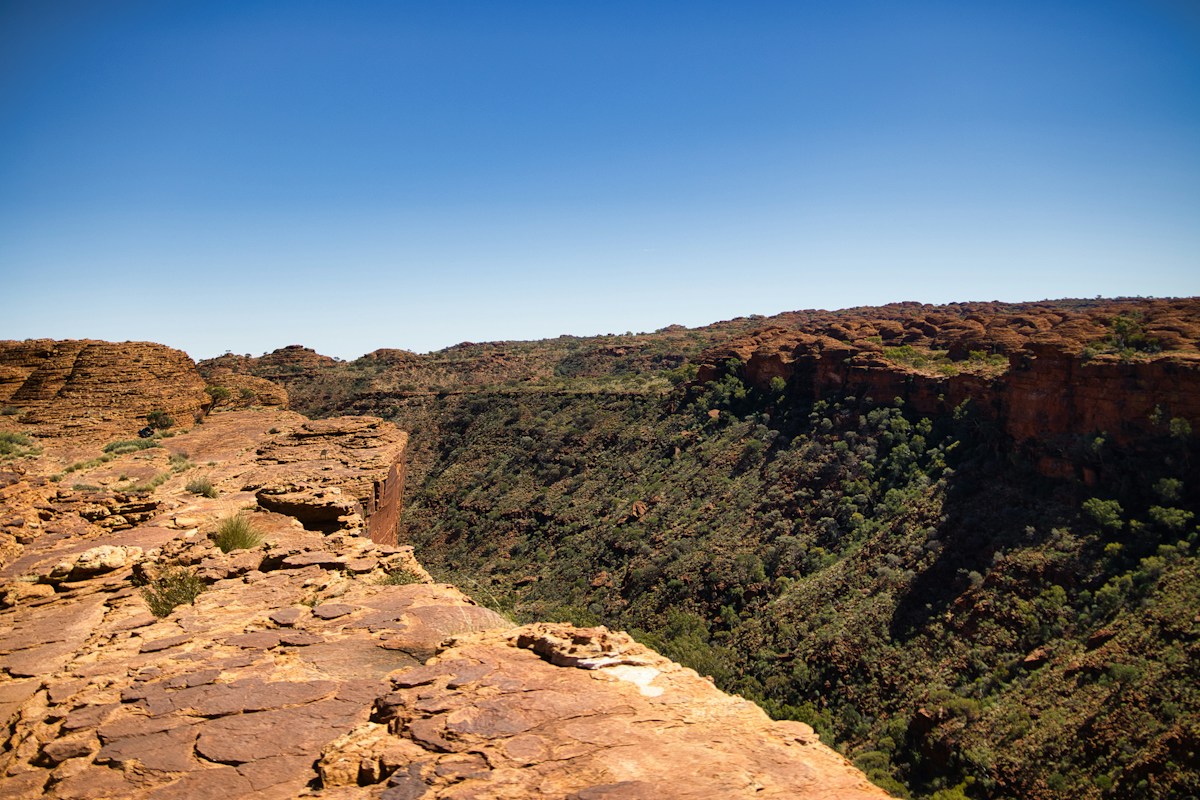 How Backyards Across the Country Are Uniting to Create a Massive Homegrown National Park
