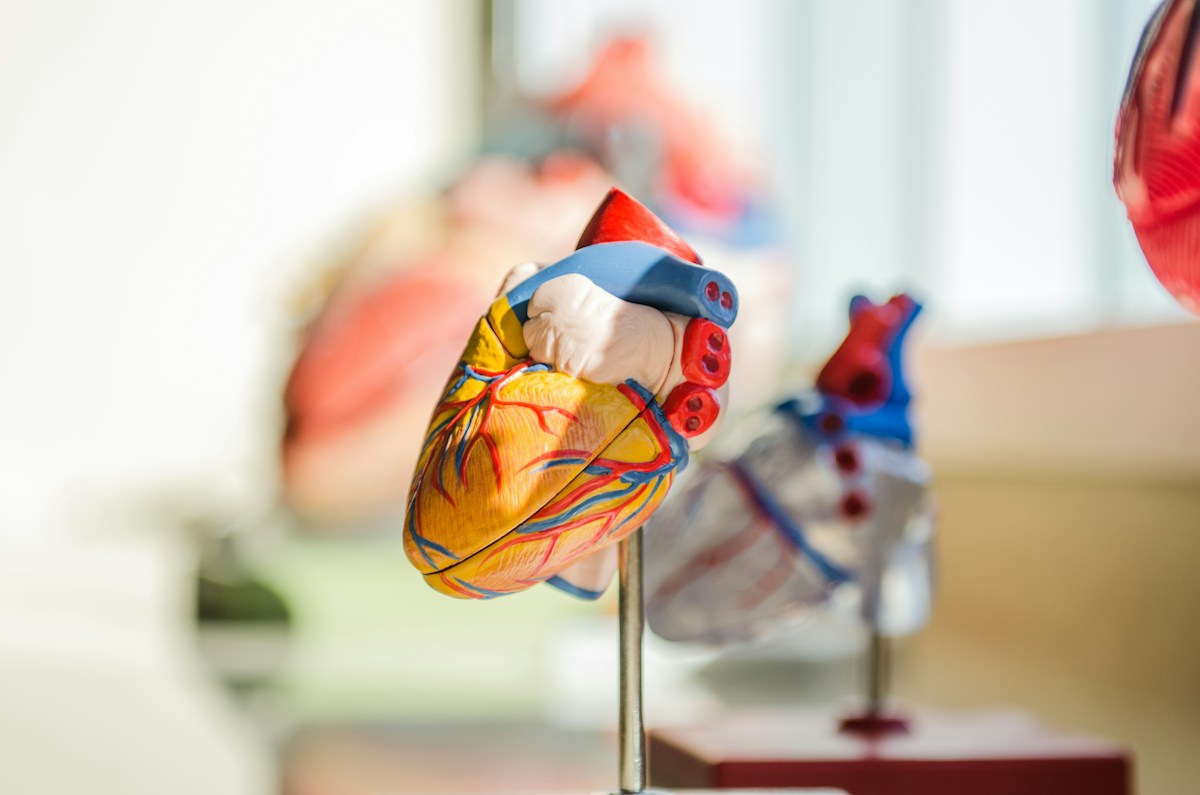 New Global Cardiac Guidelines Set to Close the Gender Gap in Heart Attack Diagnoses