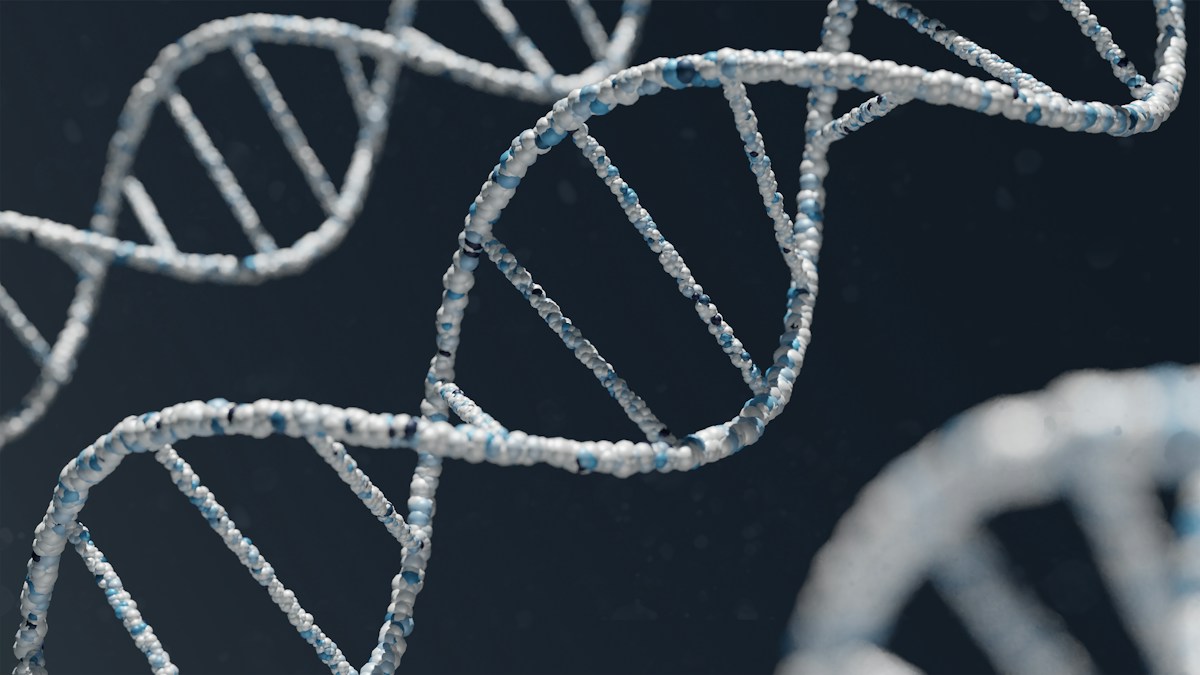 Decades-Old Physics Theory Confirmed as Scientists Witness DNA 'Zipping' Together for the First Time