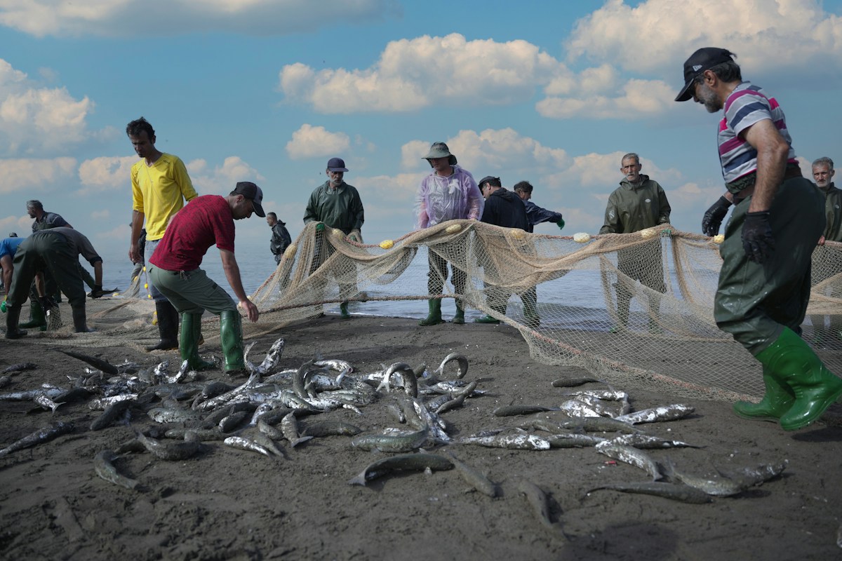 Colombian Indigenous Fishers Partner with Scientists to Protect Coastal Shark Species