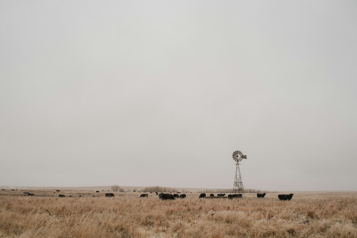 Kansas Rancher Secures Family Legacy with Help from Wind Energy