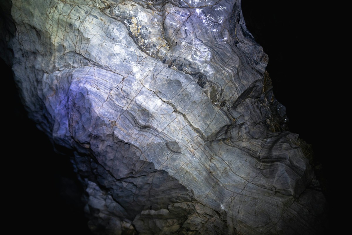 Ultraviolet light reveals ancient camouflage on a 125-million-year-old crocodile fossil