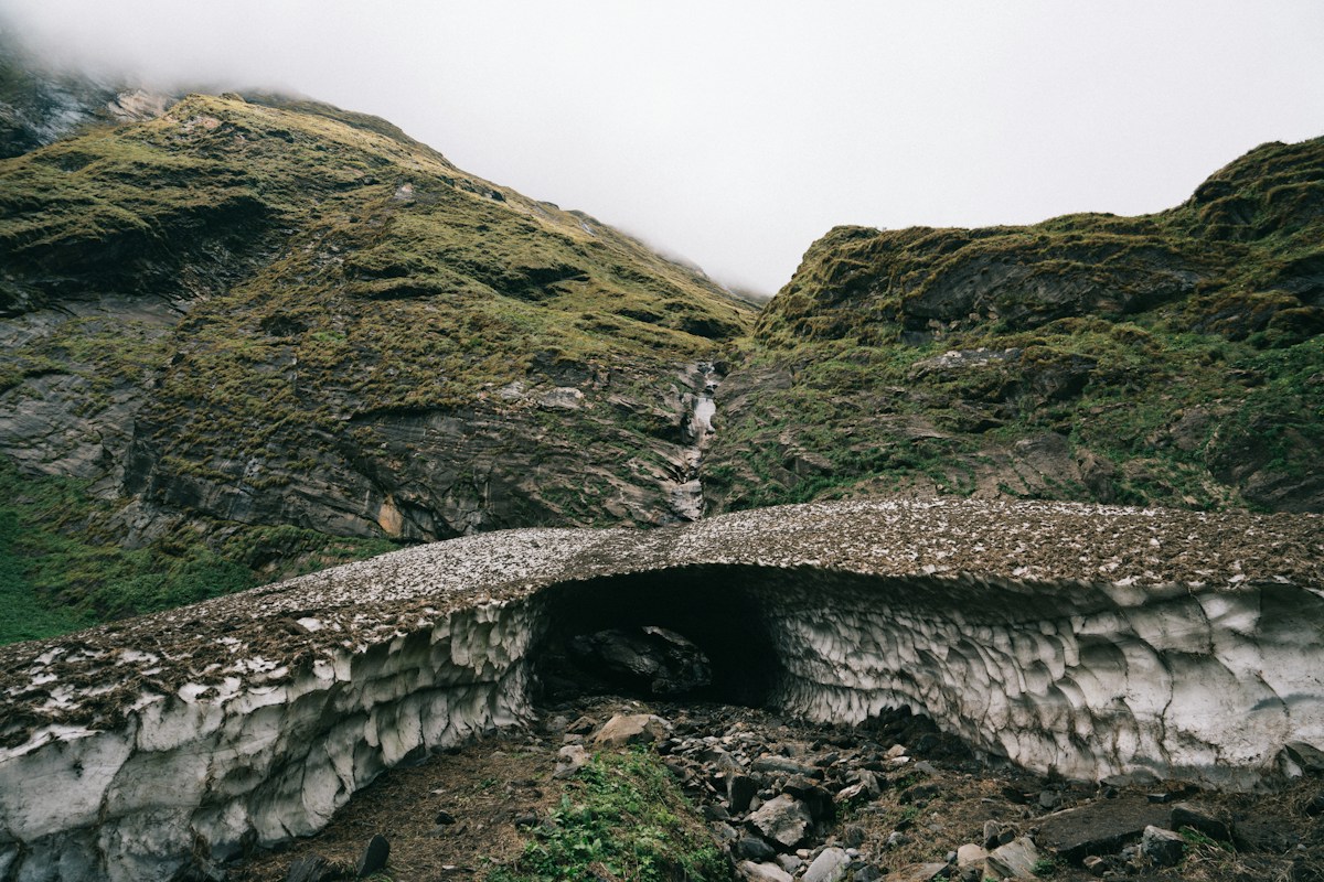 Underground crossing connects isolated populations of endangered mountain pygmy-possums
