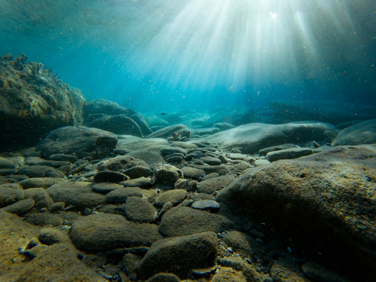 Solar-Powered Breakthrough Purifies Seawater Safely While Extracting Valuable Minerals