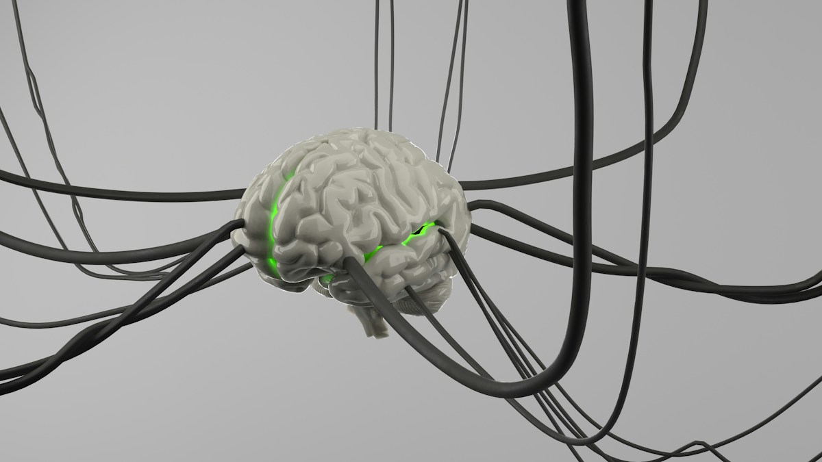 Newly Discovered Immune Hub Inside the Skull Could Open New Frontiers for Brain Cancer Treatment