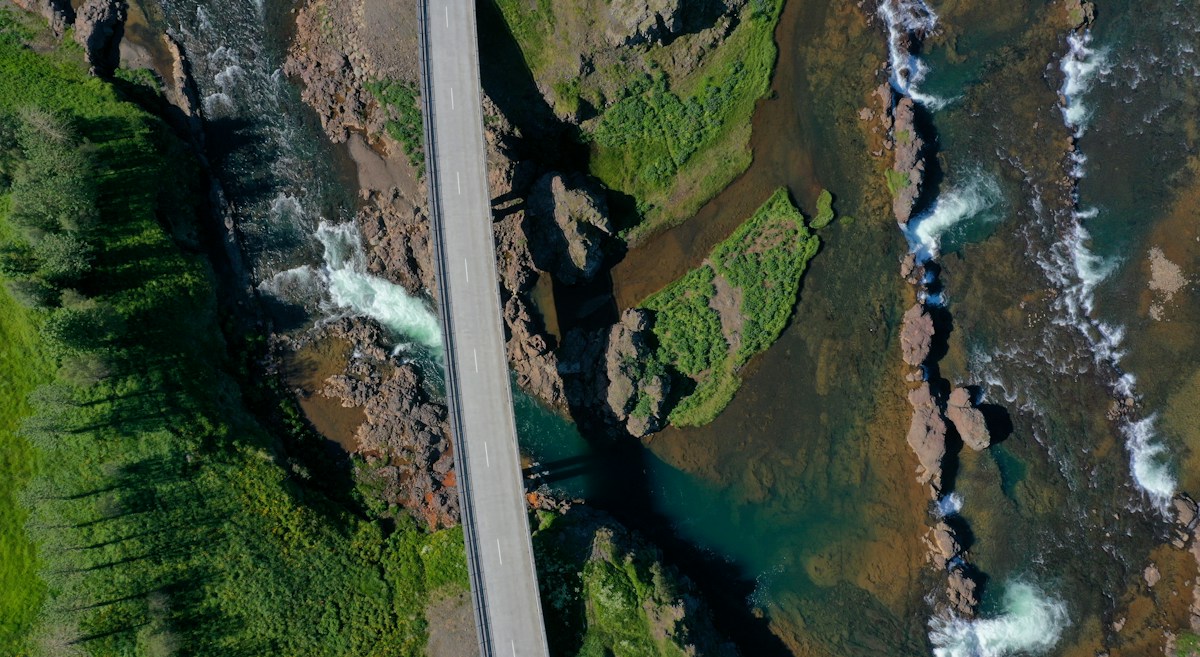 A Win for Nature and Infrastructure: Salmon Recoveries, Smoother Roads, and Cleaner Waterways Highlight This Week’s Wins