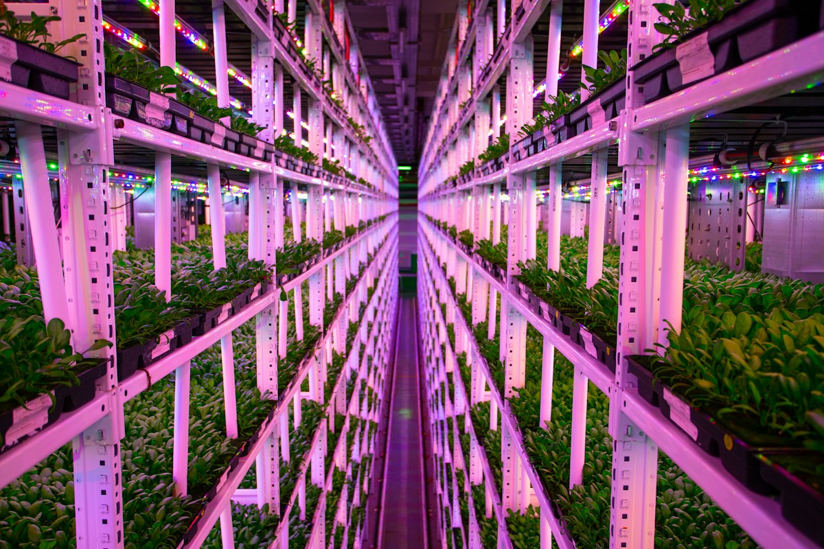How Vertical Farming is Bringing Fresh, Year-Round Produce to a Remote Alaskan Community