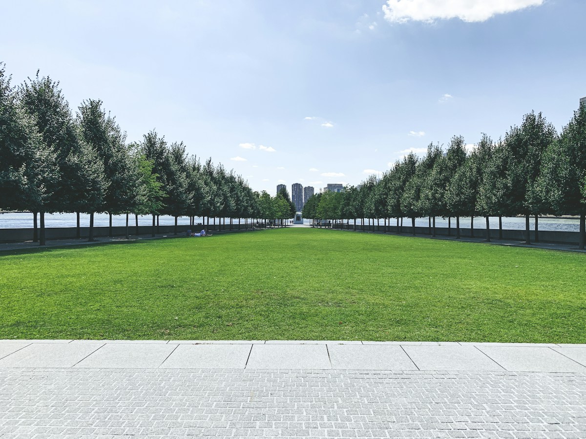 Park Avenue Set for Green Transformation with New Pedestrian Spaces and Bike Lanes
