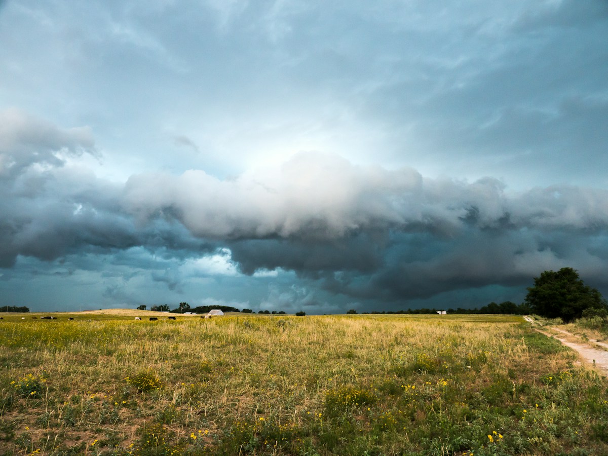 How Oklahoma Ranchers are Using Controlled Burns to Restore and Protect the Great Plains