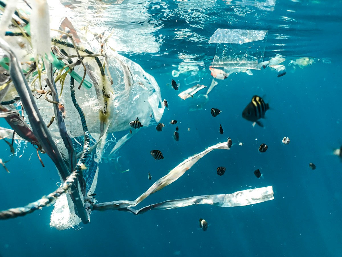 Scientists Find Simple, Low-Cost Way to Transform Plastic Waste Into Usable Fuel