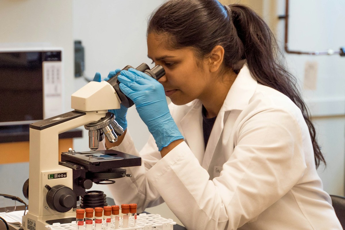 Stanford Discovery Reveals Brain Developed from Two Distinct Systems, Opening New Paths for ALS Research