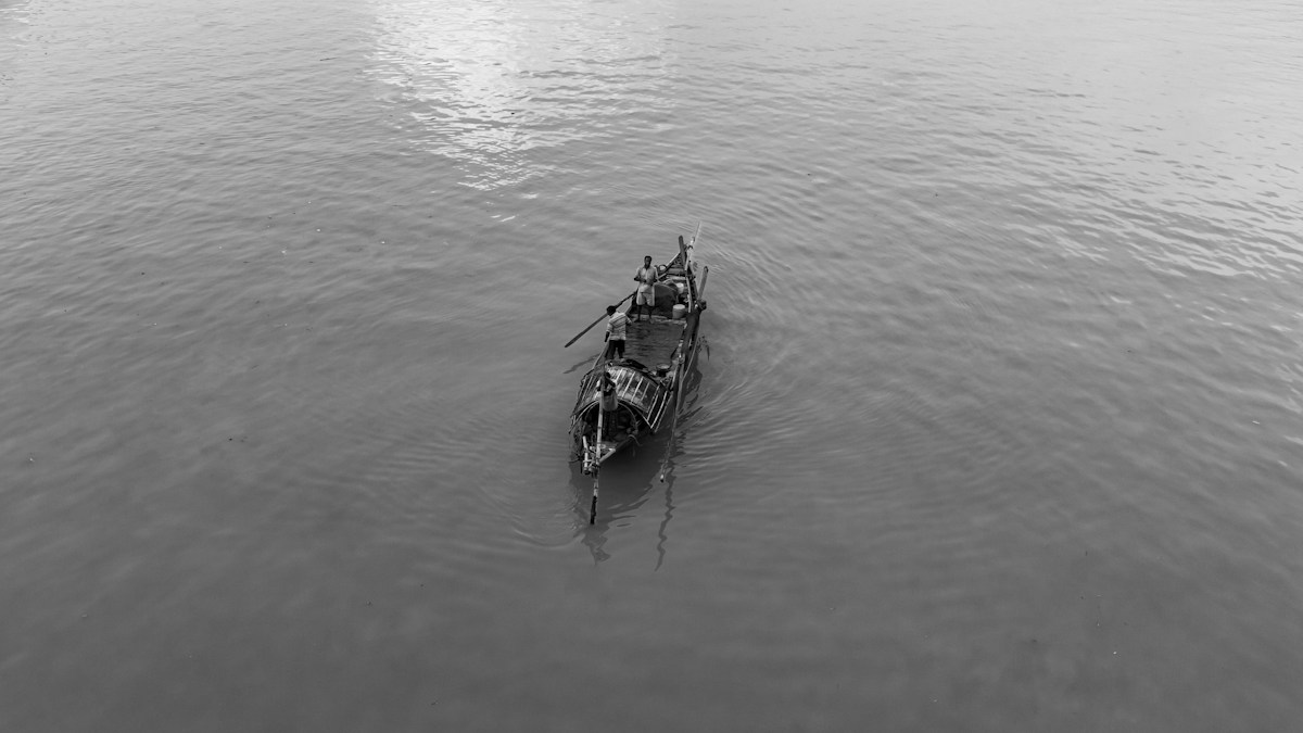 Quick-Thinking Fishermen Rescue Baby Elephant Swept Downriver in West Bengal