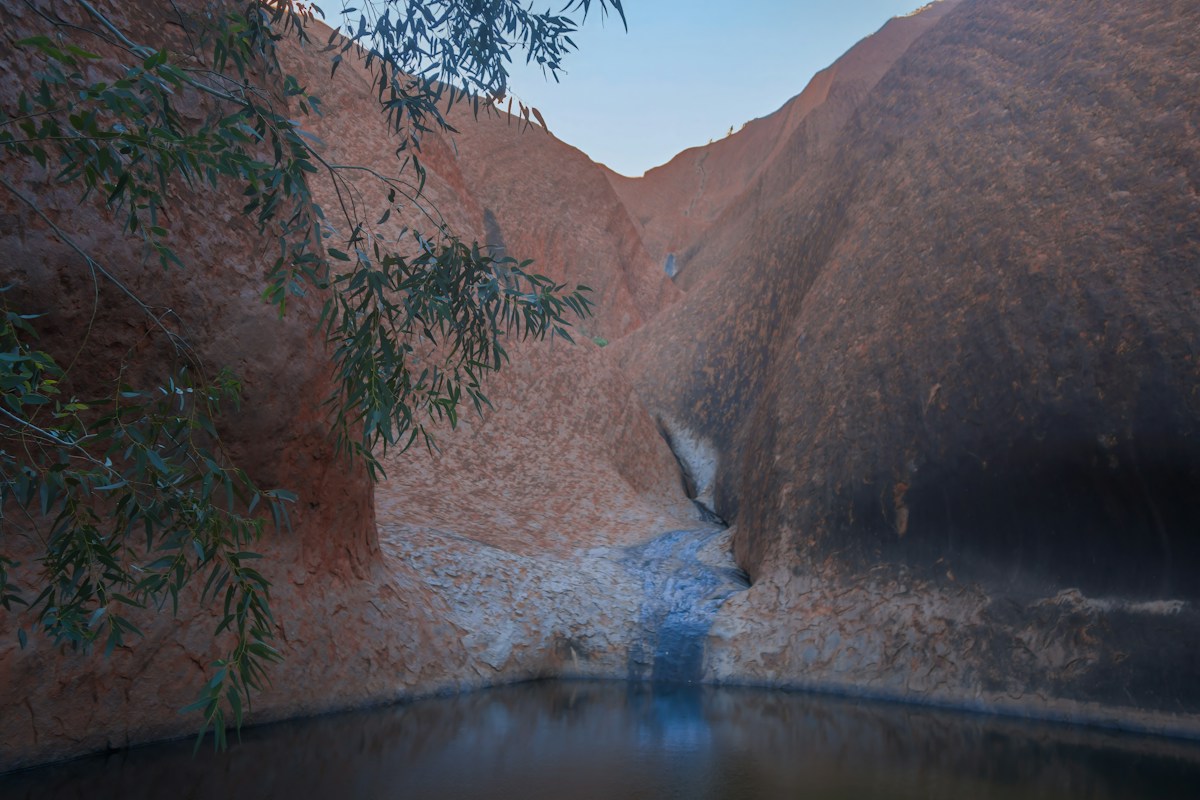 A New Live Camera Invites the World to Watch Australia's Desert Wildlife Gather at a Remote Waterhole