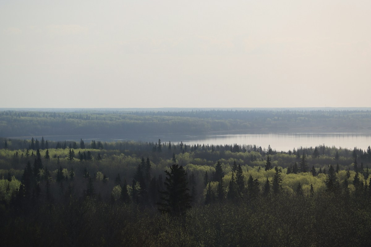 In Canada's Boreal Forest, the World's Largest Beaver Dam Is Creating Vital Wetlands and Filtering Water