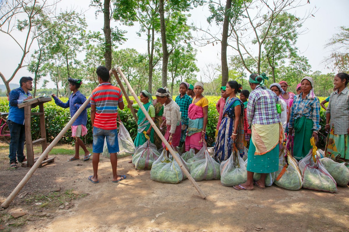 A Cleaner Planet and Safer Communities: Major Milestones in Environmental and Humanitarian Progress