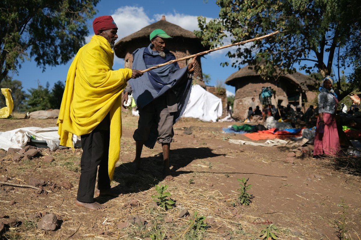 How Ethiopia's Citizen-Led Planting Movement is Reversing Decades of Forest Loss