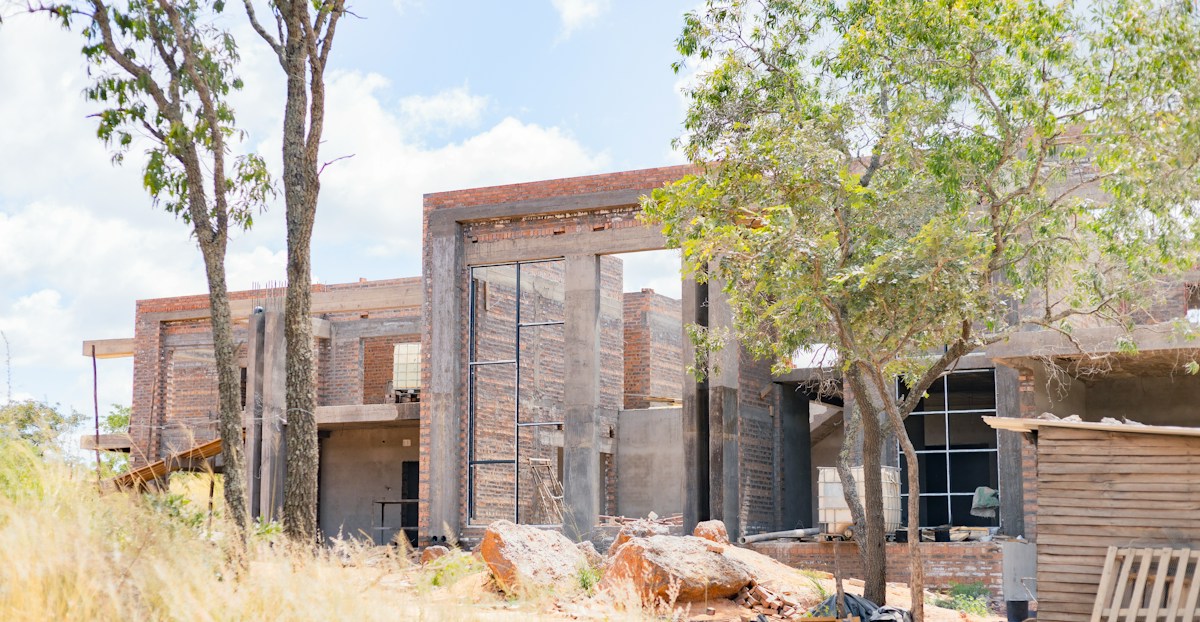 A Trio of Triumphs: Innovative Building Materials, Wildlife Protection, and Community Support Highlight This Week’s Positive News
