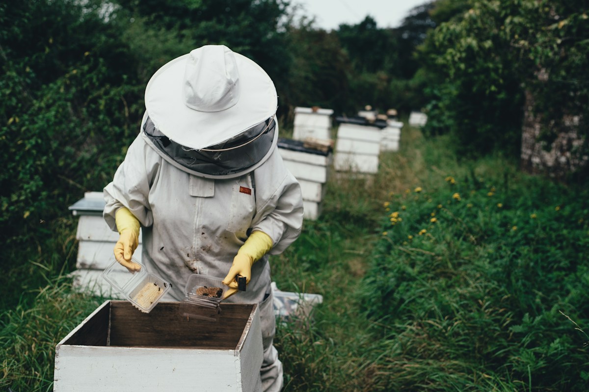 Clever Scent Signals Offer a Safe Shield to Keep Honeybees Away from Farm Pesticides