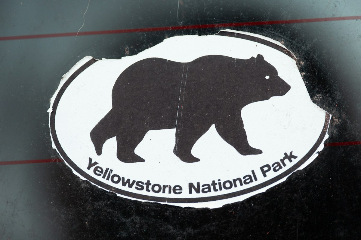 Lost Yellowstone Baseball Caps Retrieve New Purpose Through Community Donation