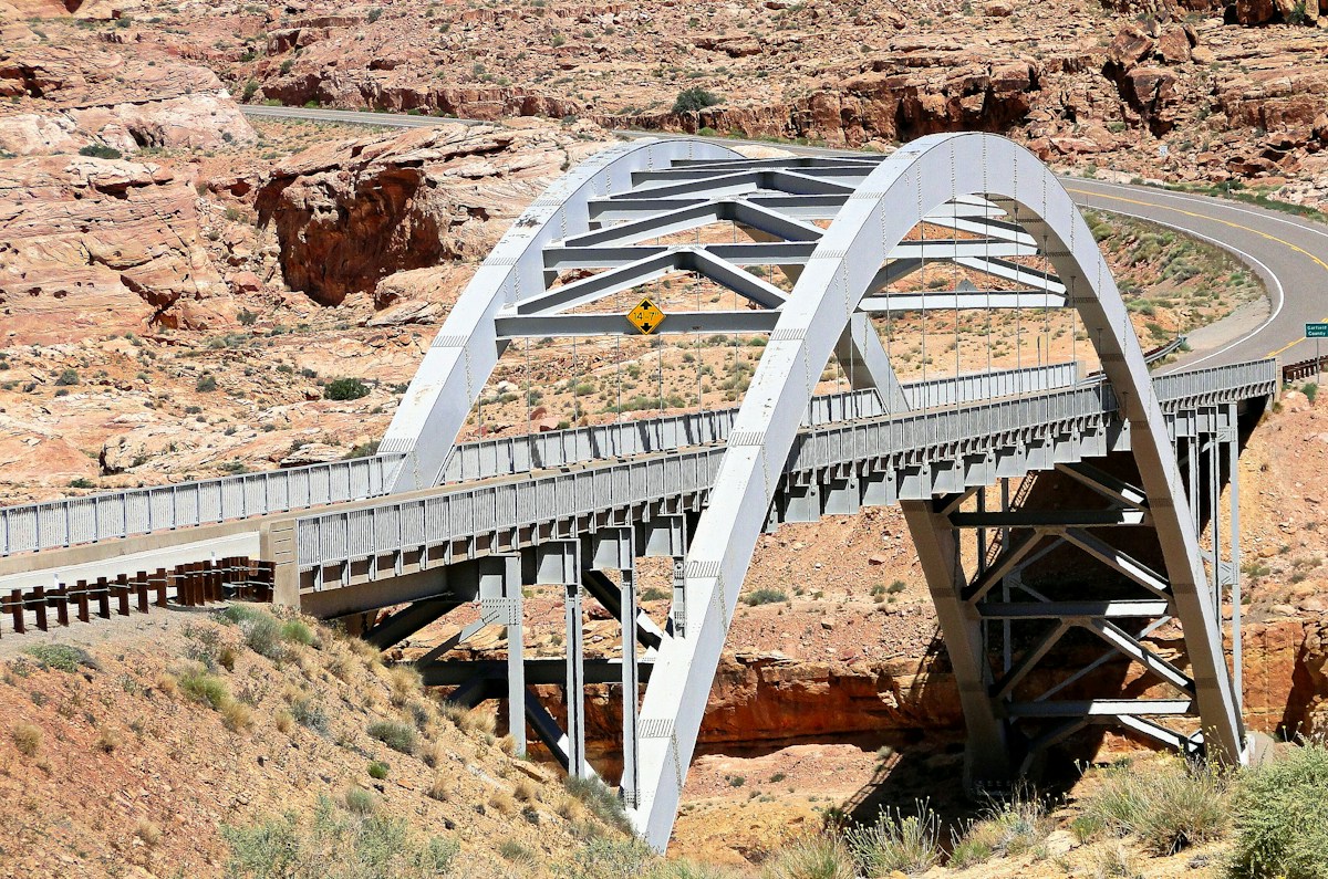 New Wildlife Bridge Quietly Solves One of Colorado's Biggest Highway Hazards