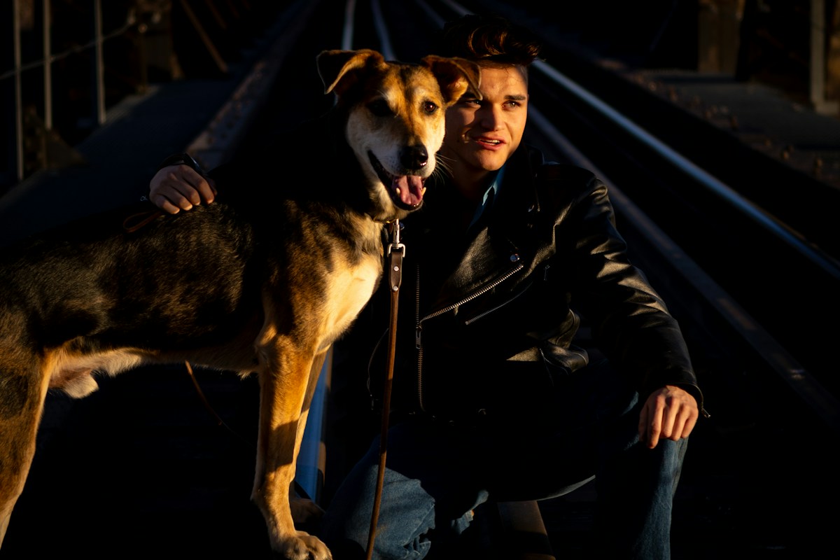Chris Evans Uses Star Power to Find a Home for Inseparable Shelter Dogs