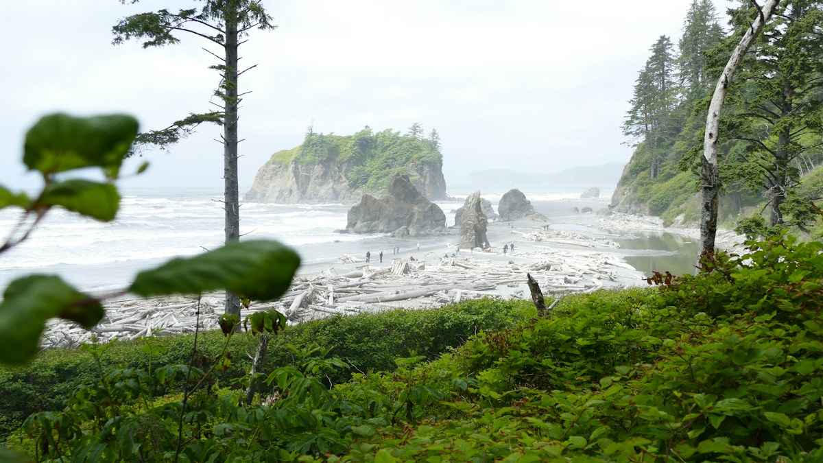 Preserving the Sound of Silence: Inside Olympic National Park's Quest to Protect the Quietest Spot in the US
