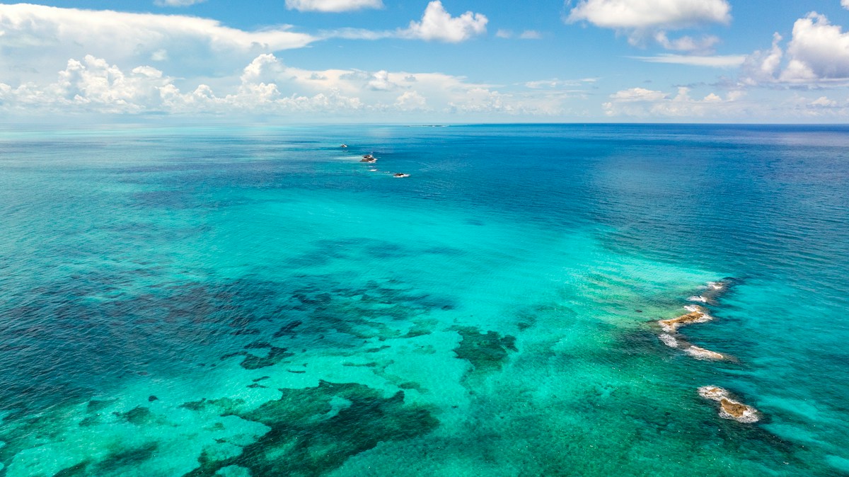 Innovative Underwater Shades Offer Cooling Relief to Caribbean Coral Reefs