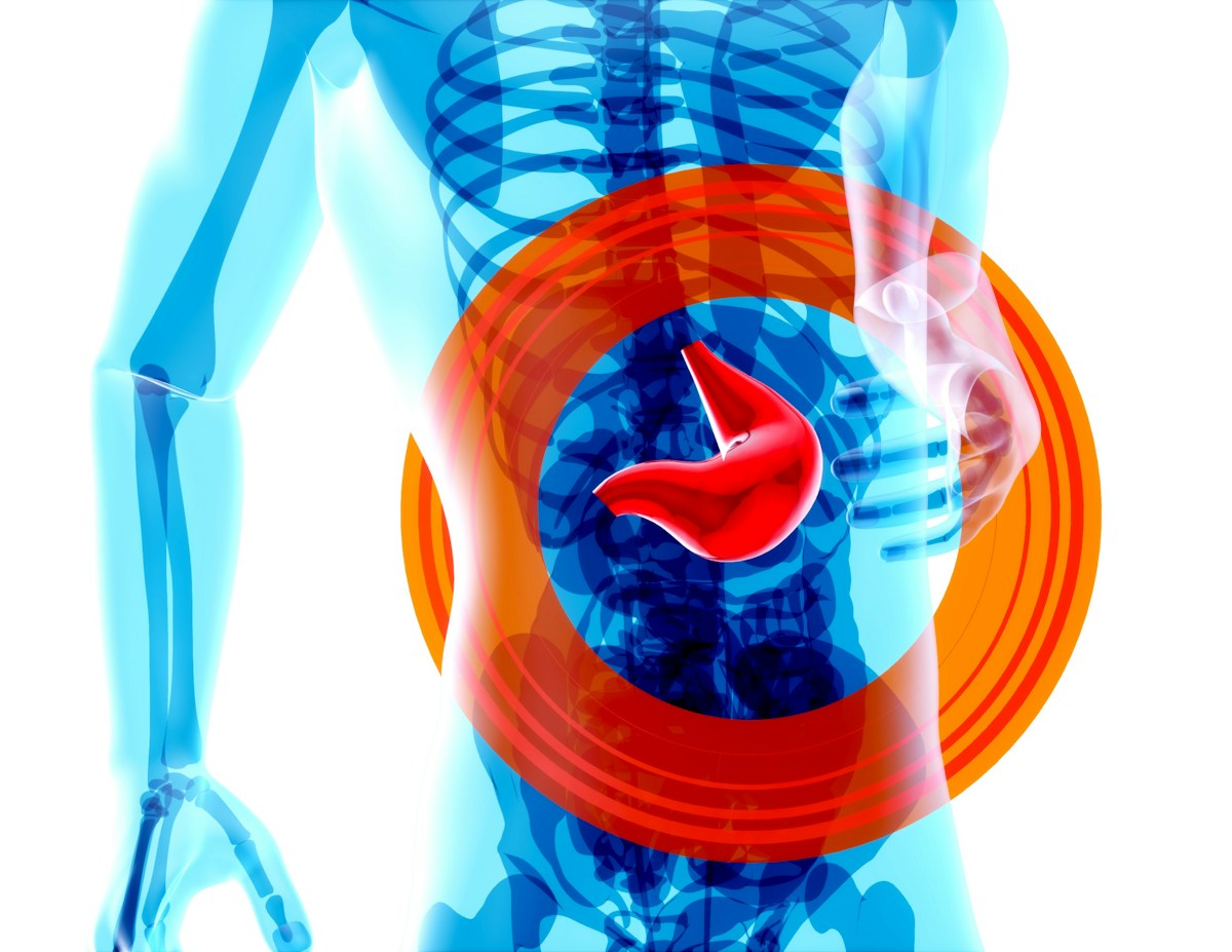 Natural Liver Enzyme Offers Promising New Defense Against Fatty Liver Disease